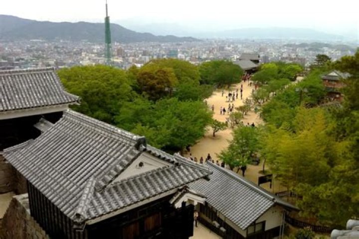 愛媛ハッテンとは？地域事情から注意点、相談先まで丁寧に解説