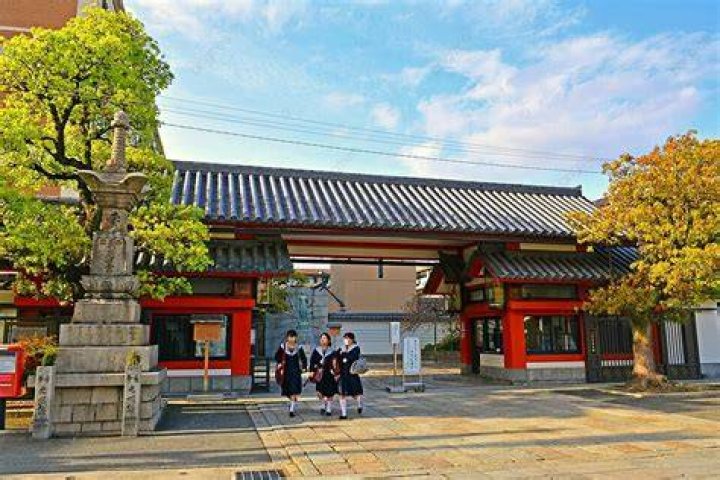 四天王寺高校の偏差値を徹底解説—目標ラインと学習計画の作り方