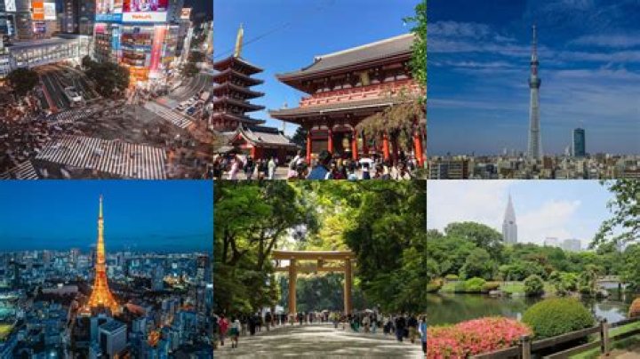 土浦×バニー東京の魅力とは？エリア事情と楽しみ方を整理